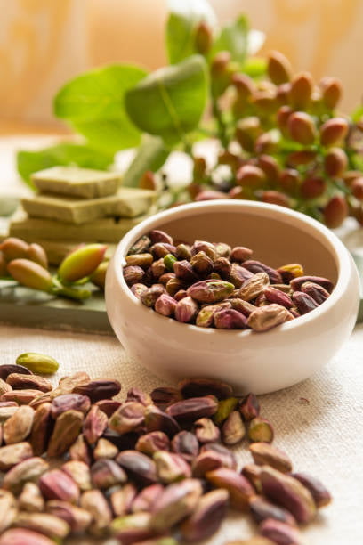 خرید پسته اکبری شور ممتاز + قیمت فروش استثنایی